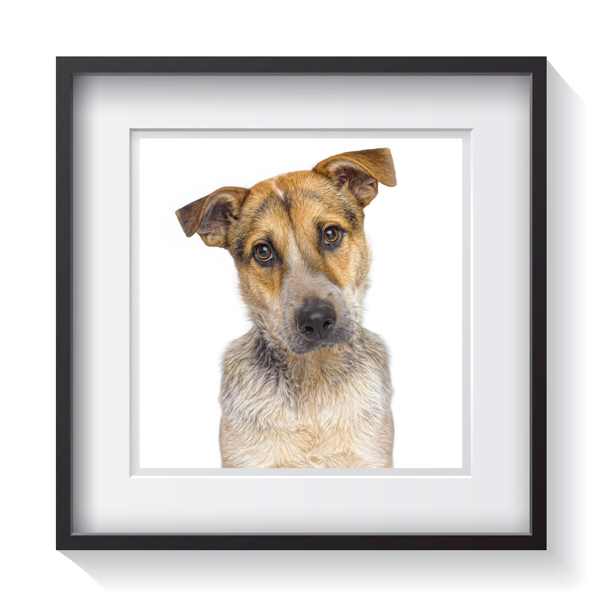 Framed Portrait of Your Pet &amp; Custom Prints