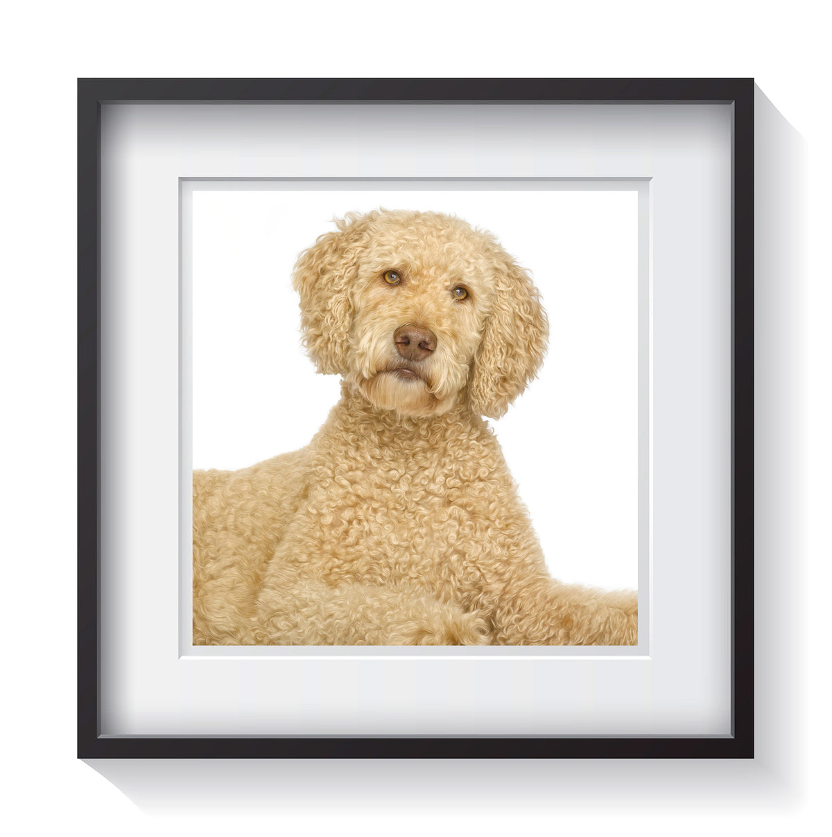 Framed Portrait of Your Pet &amp; Custom Prints