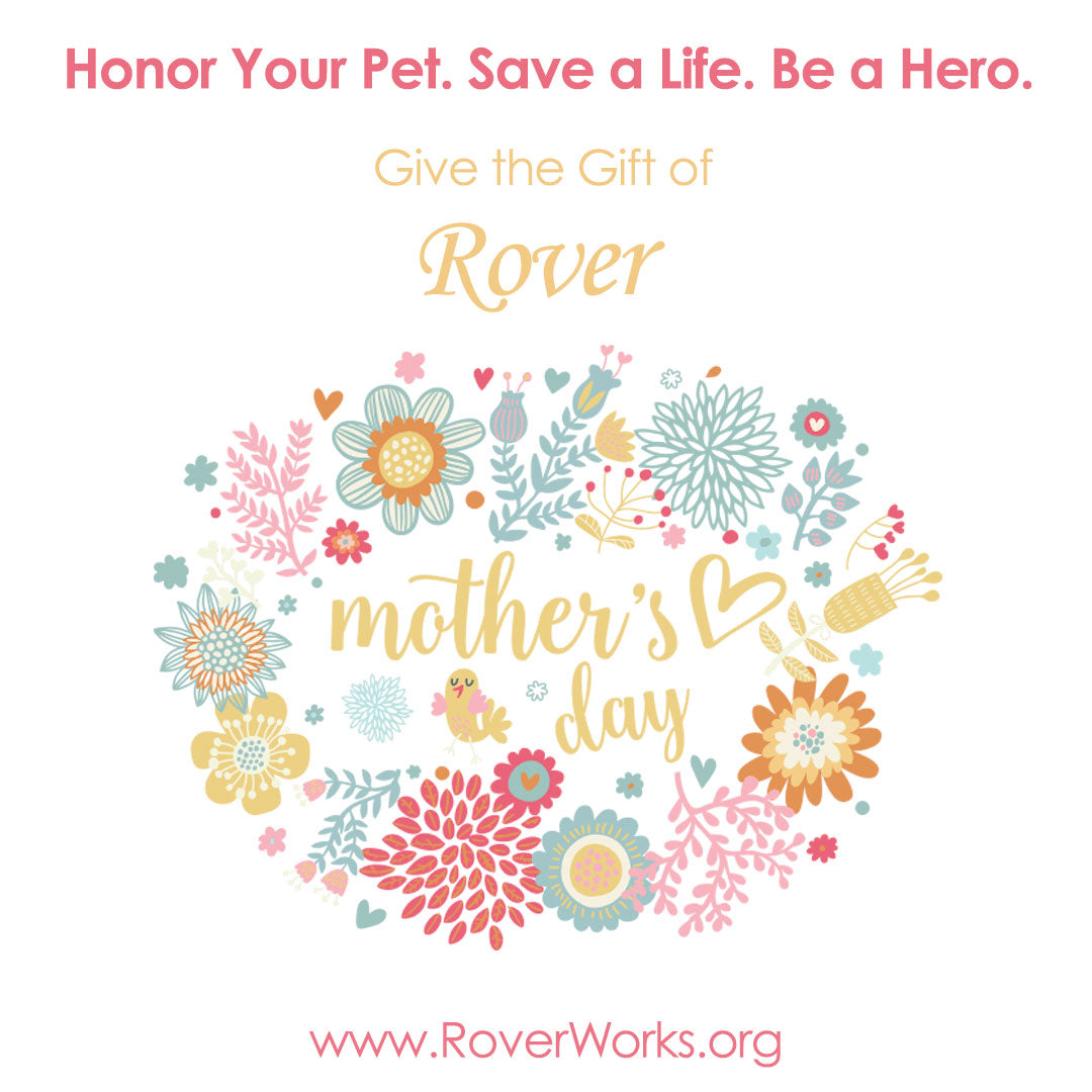 Show the Fur-Mom in Your Life Some Love on Mother's Day