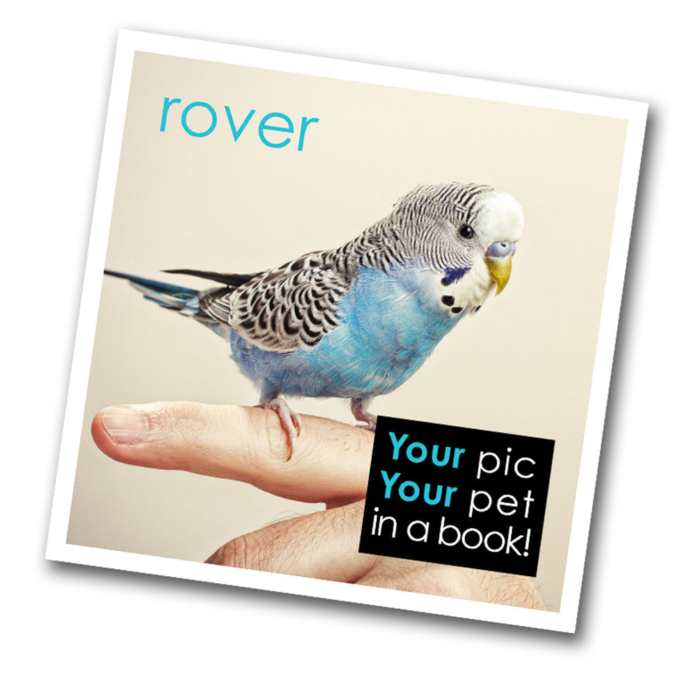 Have your favorite photo of your cat, dog, horse, bird, horse, llama, alpaca, duck or even chicken published on a page in the next edition of Rover. It's a great way to honor your pet or memorialize one you've lost while helping a rescue. 