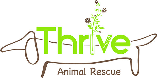 The Rover book of dog portraits proudly supports the Thrive Animal Rescue in Orange County, California. Our vote for the best charities for animal rescue for overall impact.