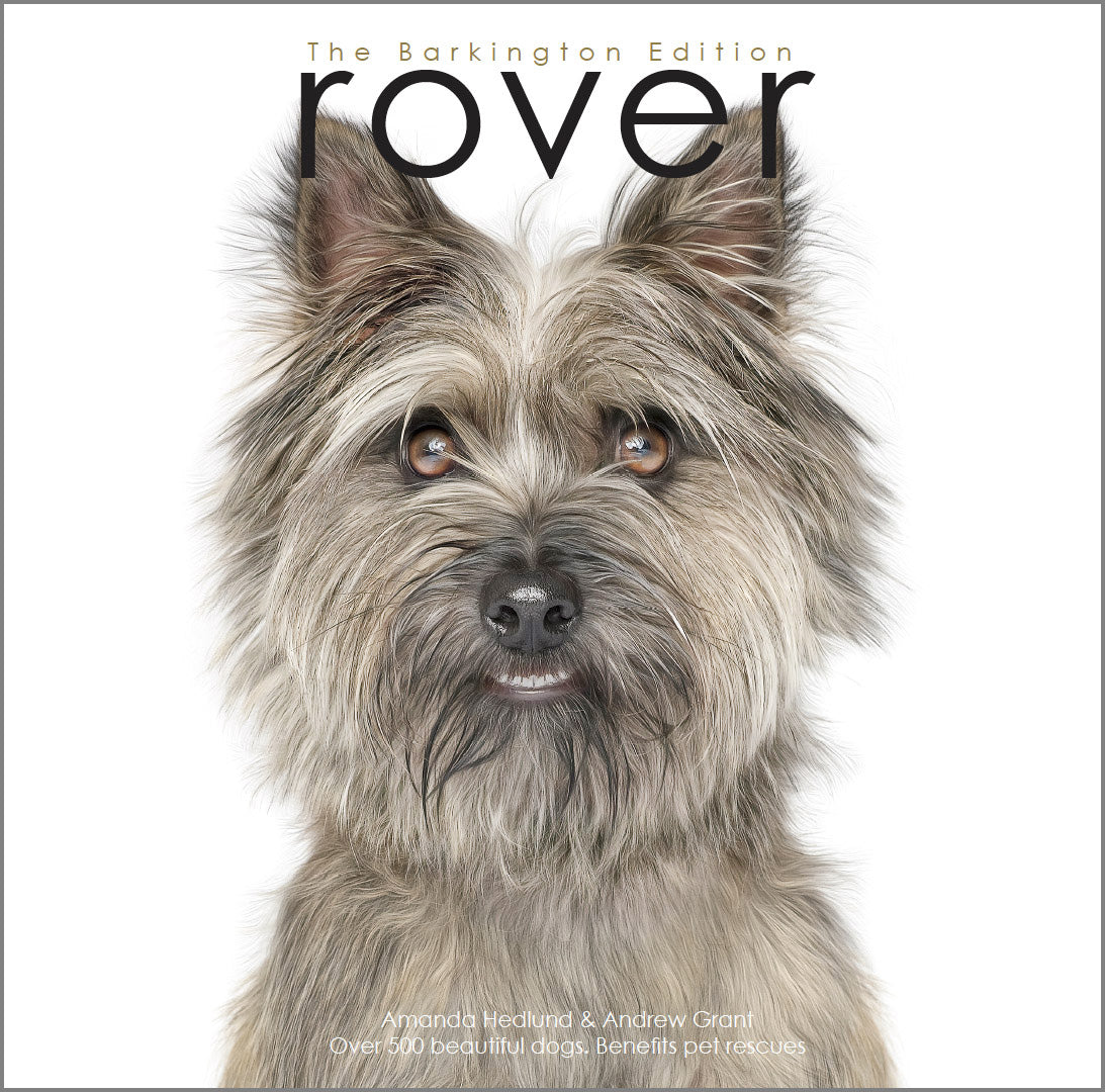Rover Barkington Edition | &quot;Jammy&quot; Cover