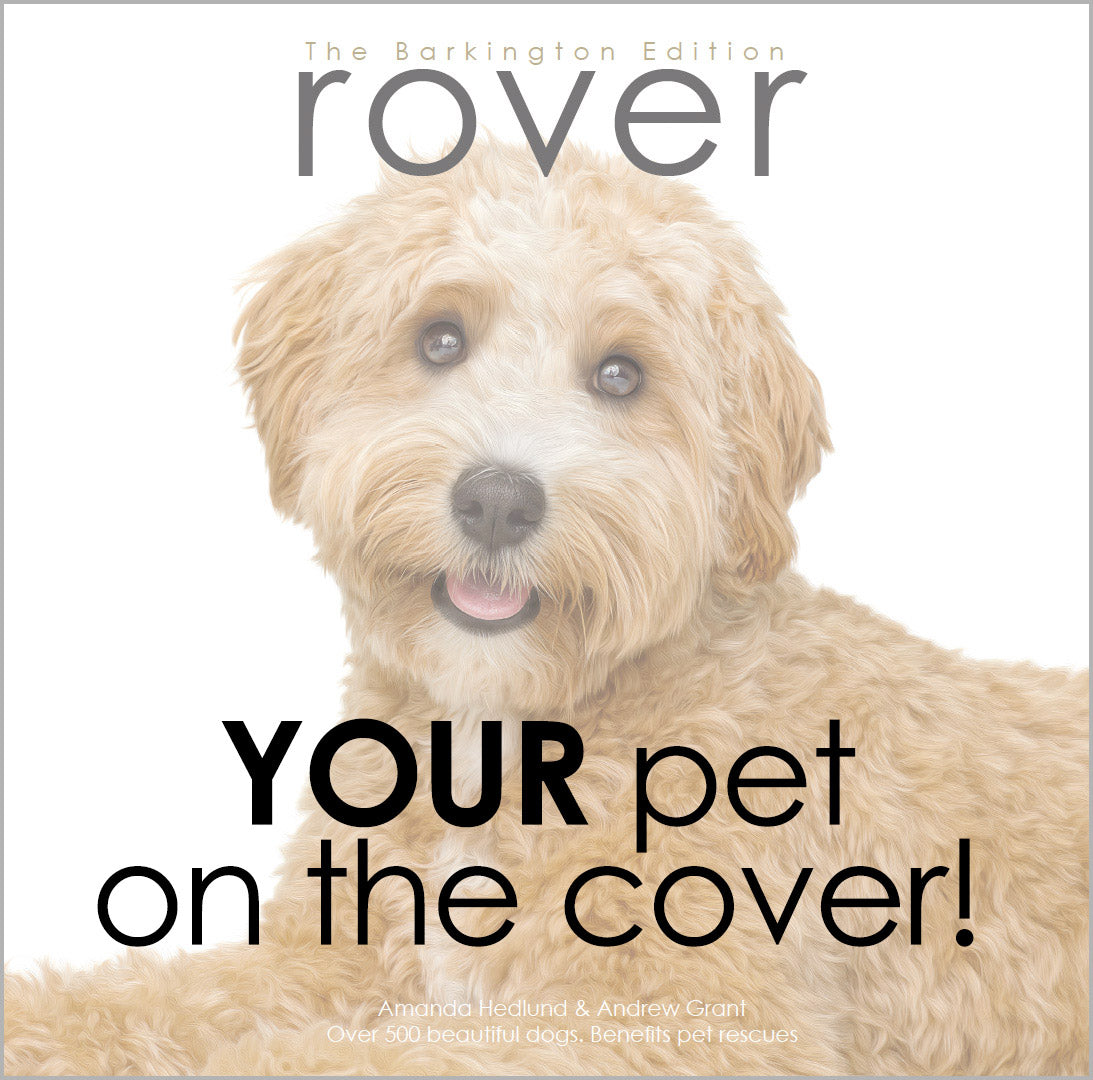 Rover Coffee Table Book of Dogs | Shop - RoverWorks