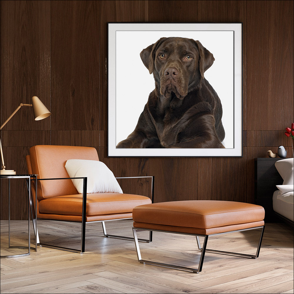 Framed Portrait of Your Pet &amp; Custom Prints