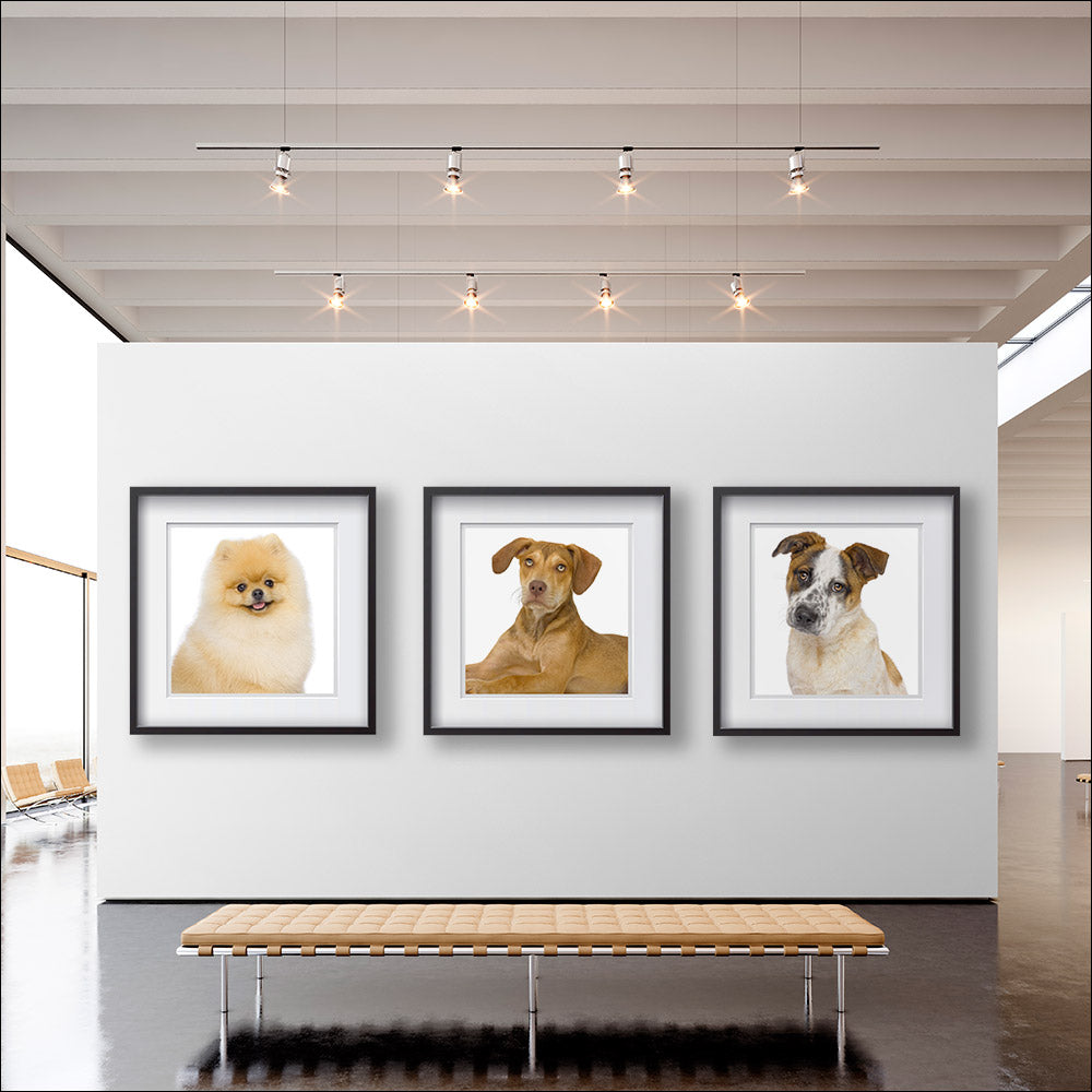 Framed Portrait of Your Pet &amp; Custom Prints