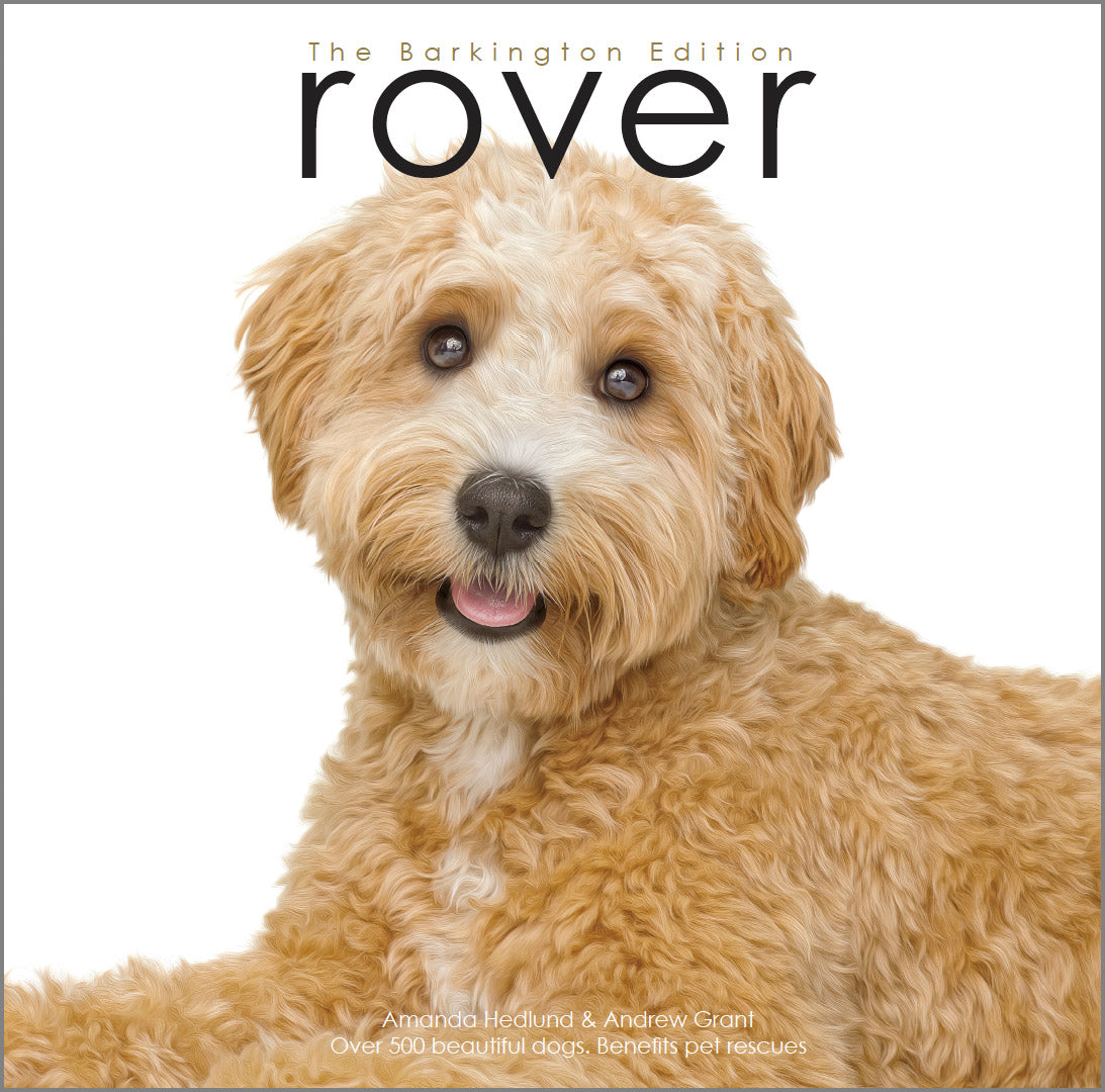 Reading Rover Dogs Rover Coffee Table Book of Dogs | Shop - RoverWorks