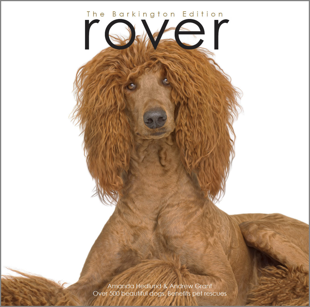 Rover Coffee Table Book of Dogs | Shop - RoverWorks