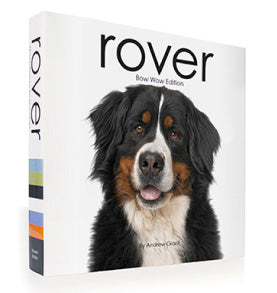 Your Dog&#39;s Studio Day &amp; Page in Rover