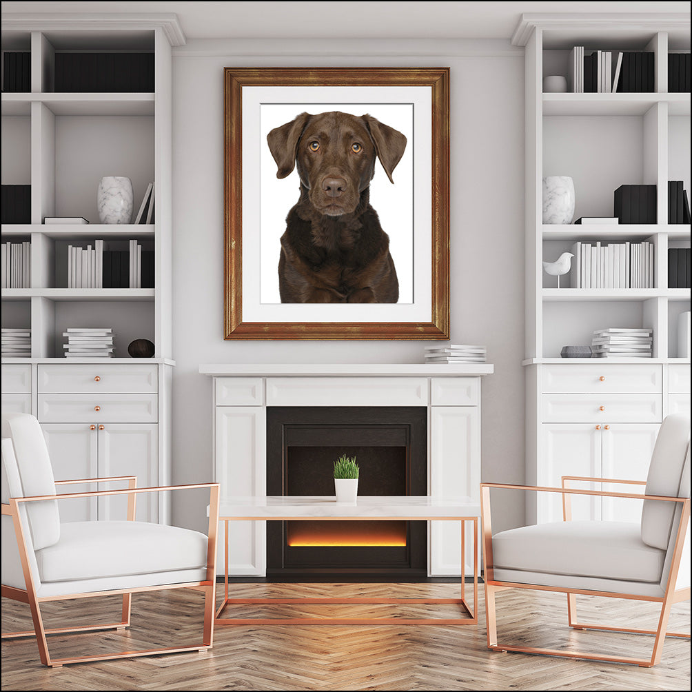 Prints of Your Dog(s)