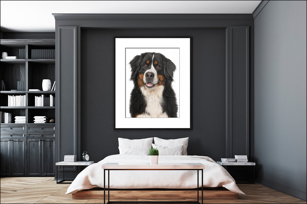 Prints of Your Dog(s)