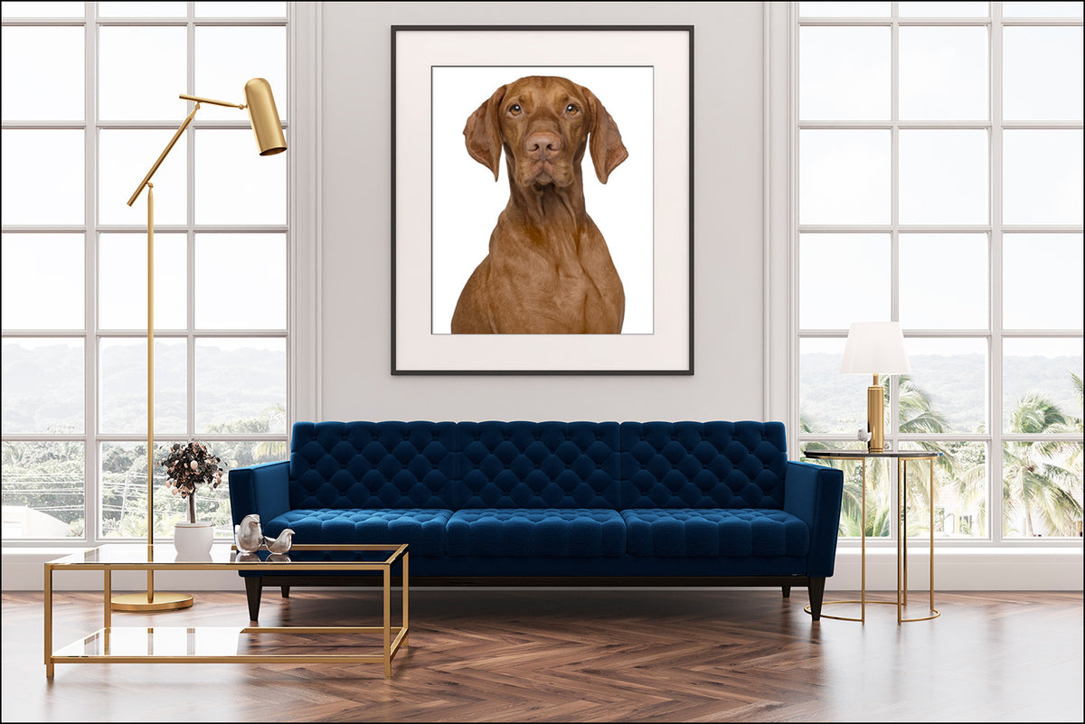 Prints of Your Dog(s)
