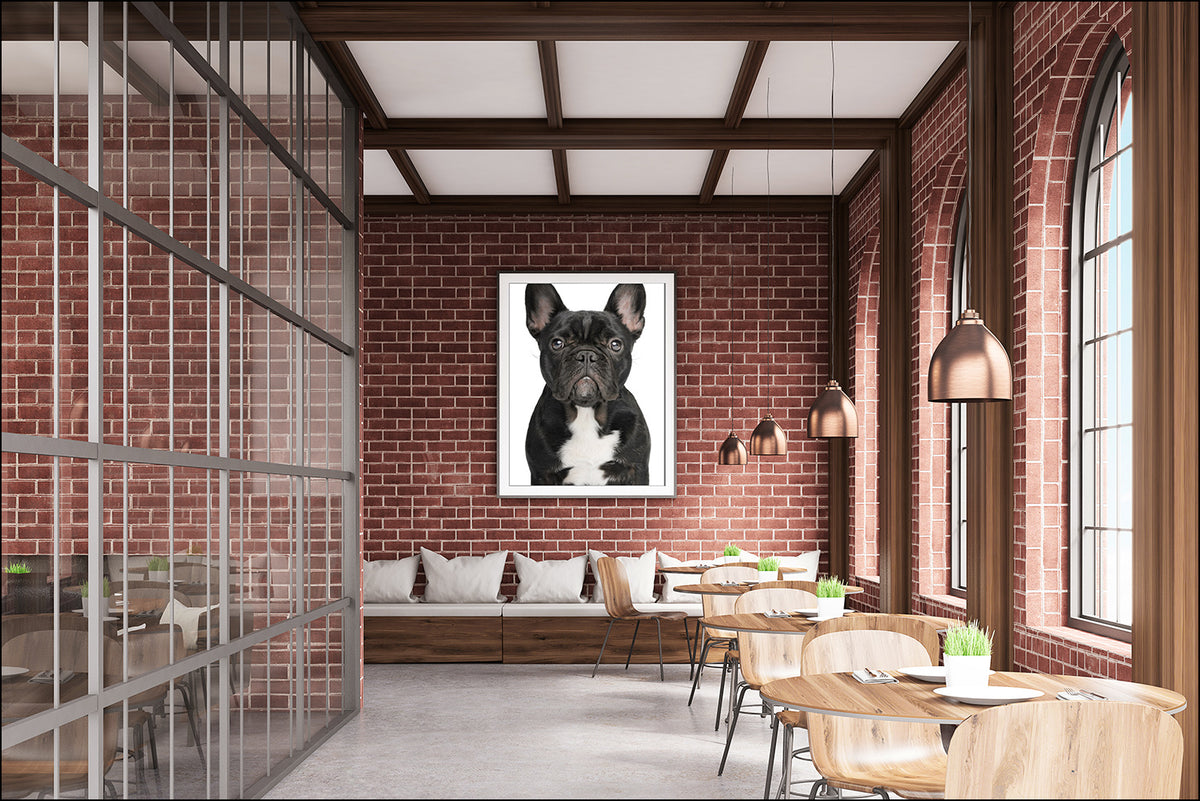 Prints of Your Dog(s)