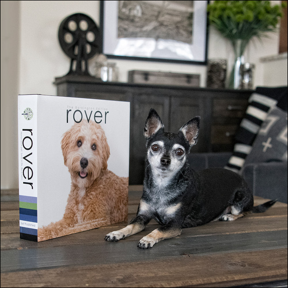 Reading Rover Dogs Rover Barkington Edition - RoverWorks