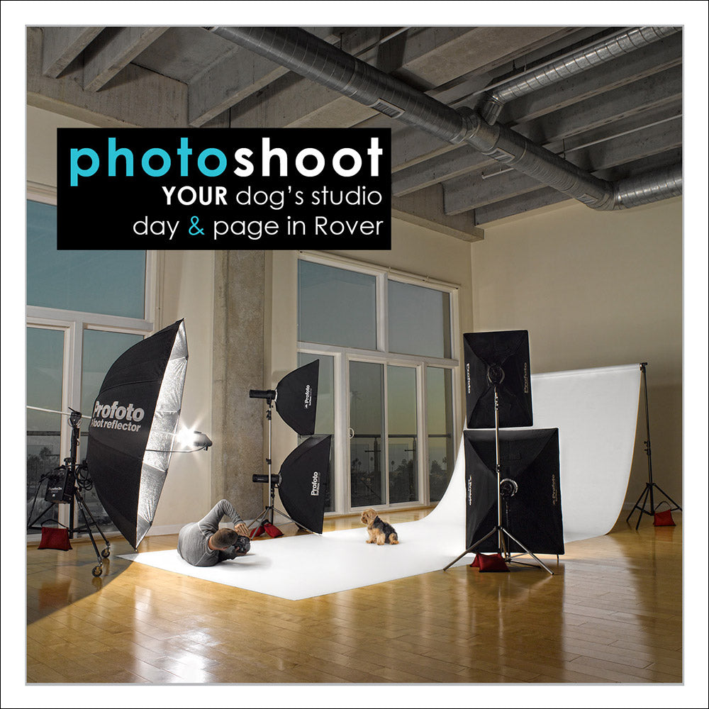Your Dog&#39;s Studio Day &amp; Page in Rover